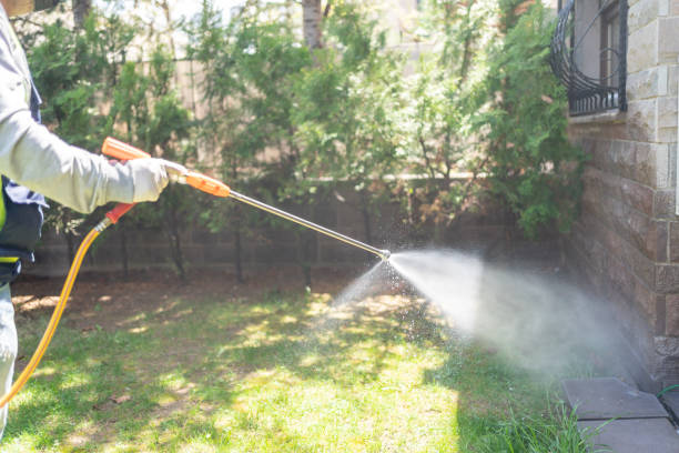 Professional Pest Control in Elba, AL